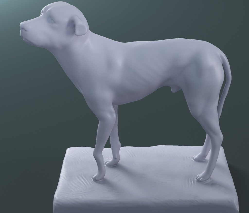 the lost dog statue (printable stl collada) 3d model max fbx dae ma mb  121595