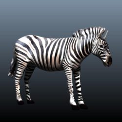 zebra v3 3d model obj 148211