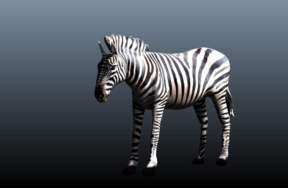 zebra v3 3d model obj 148212