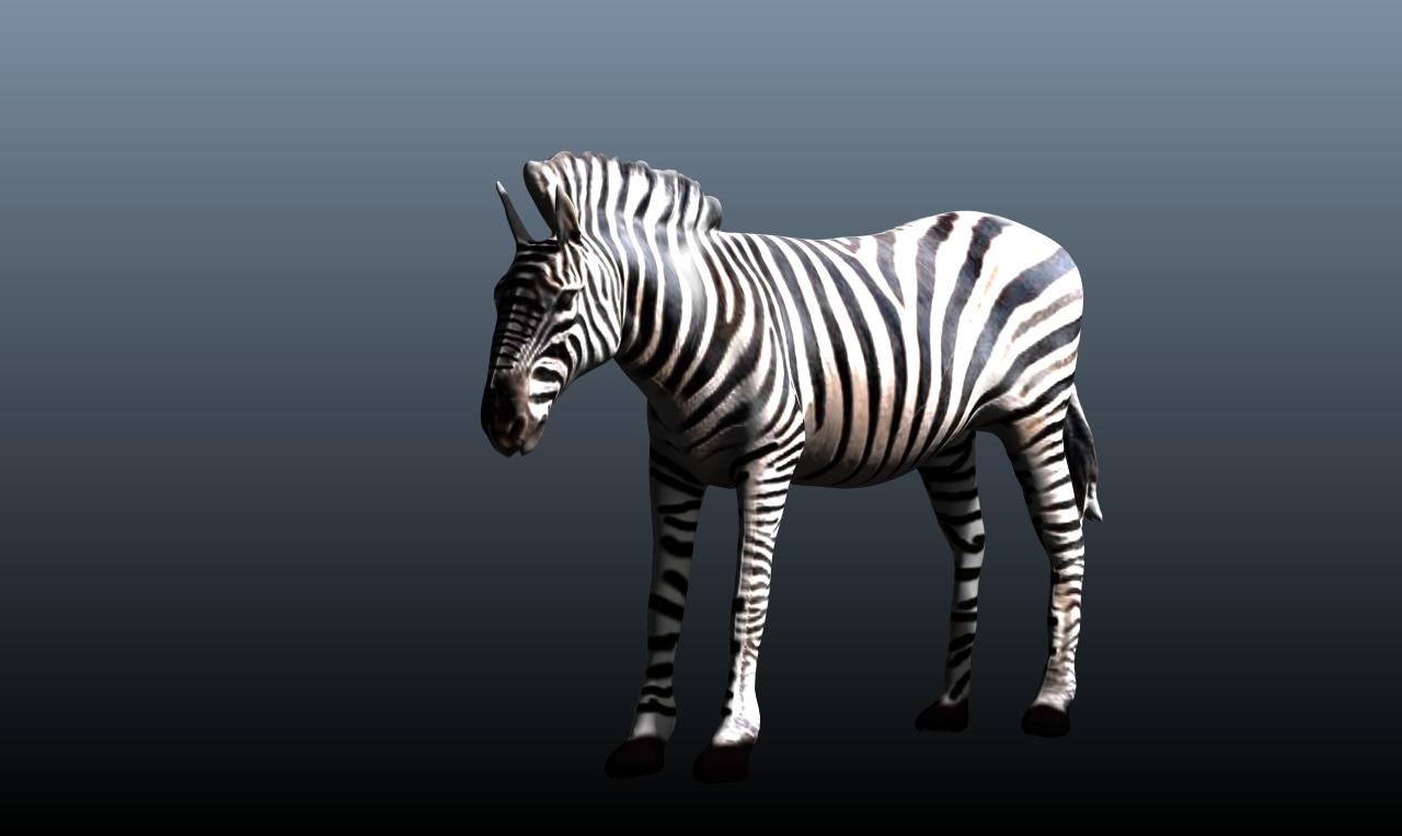 zebra v3 3d model obj 148212