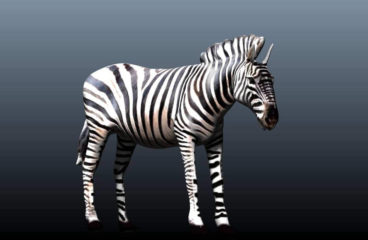 zebra v3 3d model obj 148214