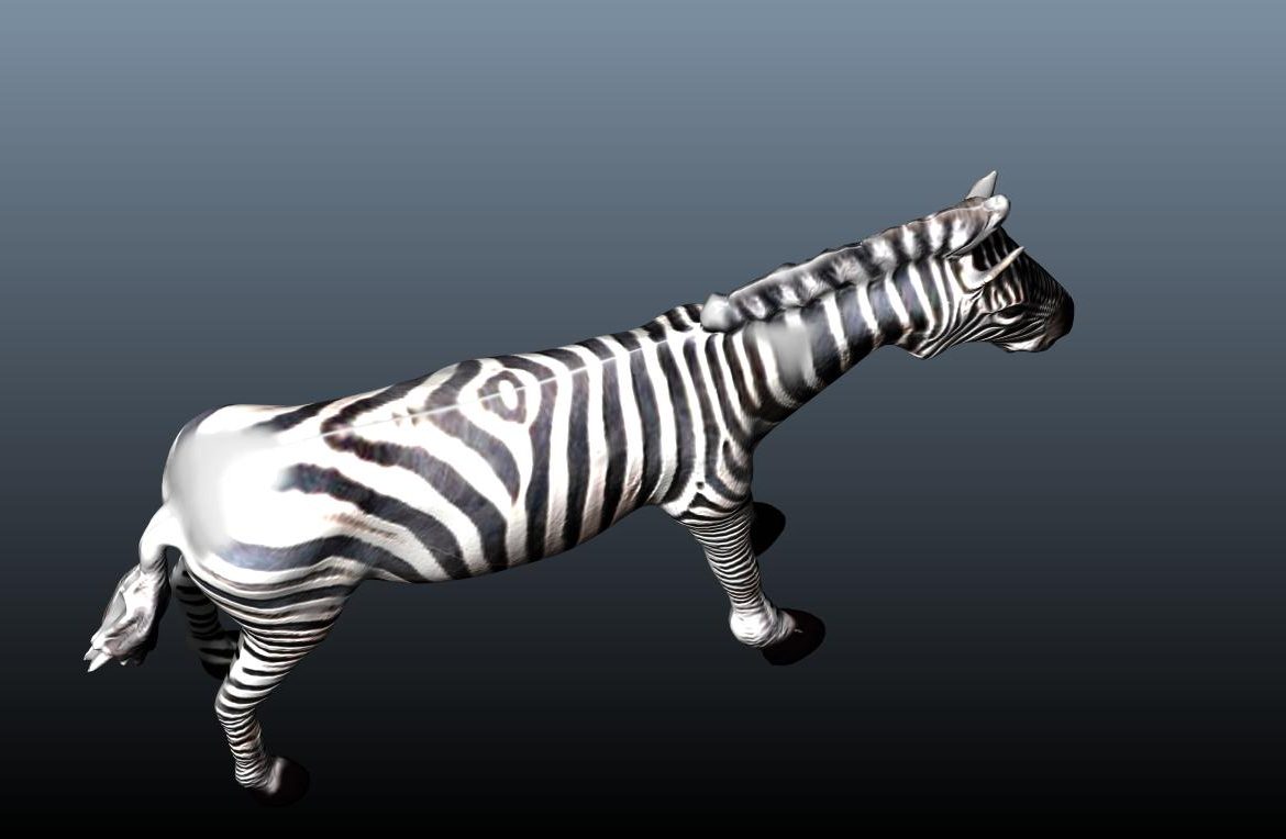 zebra v3 3d model obj 148215