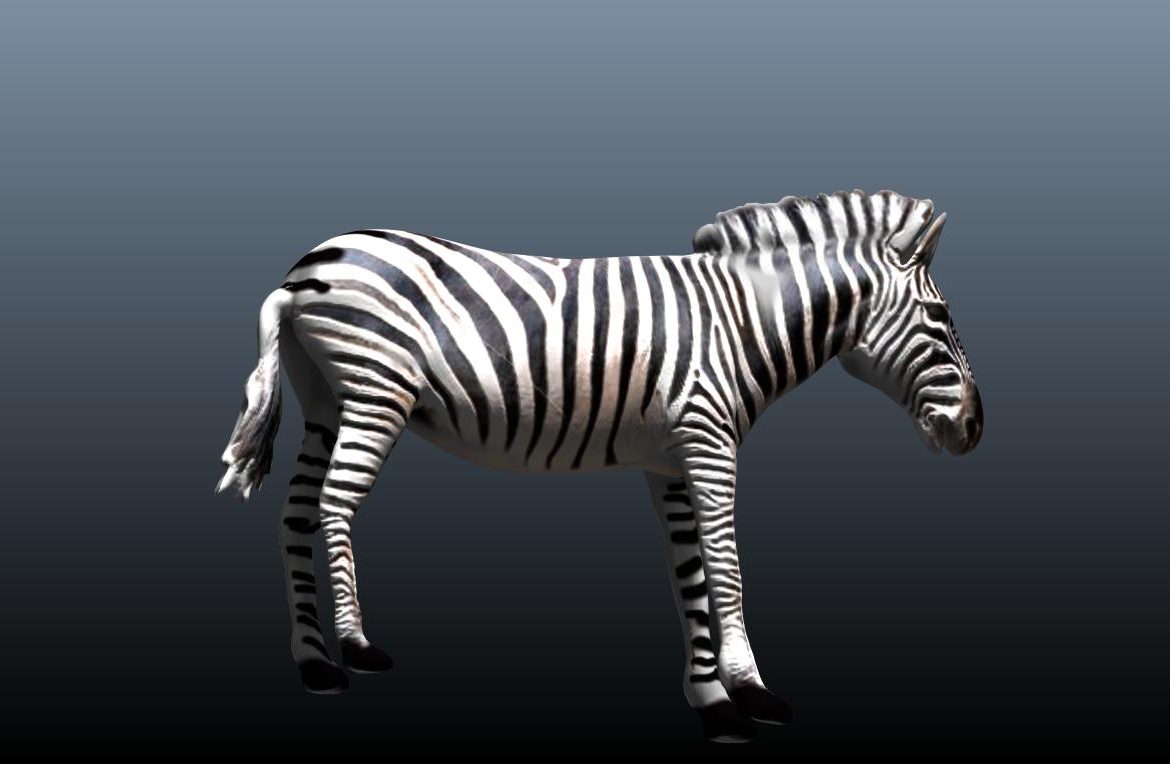 zebra v3 3d model obj 148217