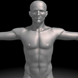 Realistic Human Male 3d Model Flatpyramid