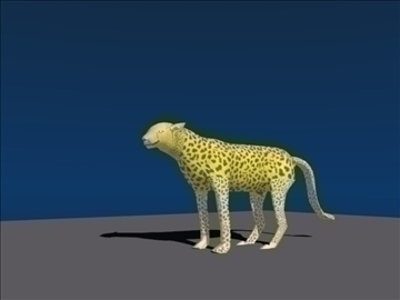 cheetah (cats) 3d model blend lwo obj 106211