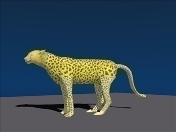 cheetah (cats) 3d model blend lwo obj 106212