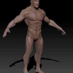 detailed male nude 3d model texture obj ztl 141094