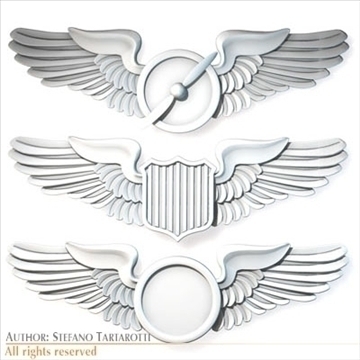 wings badges 3d model 3ds dxf c4d obj 100793