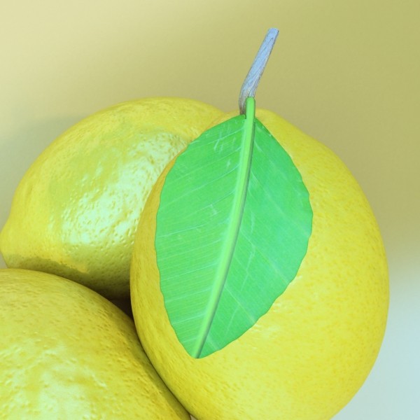 lemons in decorative metal wire container 3d model 3ds max fbx obj 132598