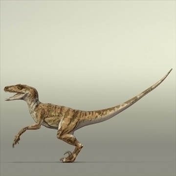 velociraptor view in 3d