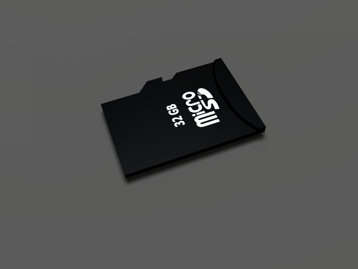 sd card and adapter 3d model blend obj 139272