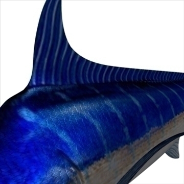 blue marlin toon fish 3d model 3ds max lwo obj 106599