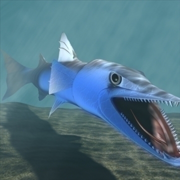 killer barracuda 3d model 3ds max dxf obj 105391