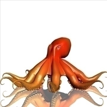 octopus 3d model max obj 104918