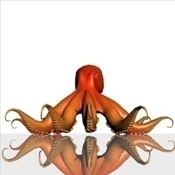 octopus 3d model max obj 104920
