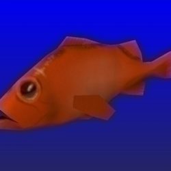 red fish 3d model b3d x 95278