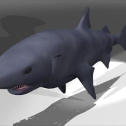 shark1 3d model 3ds dxf lwo 80698