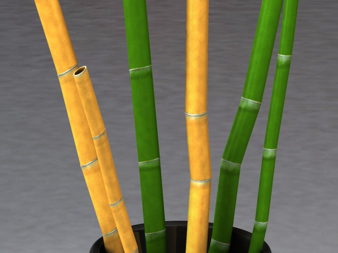 bamboo and vase low poly 3d model 3ds max fbx c4d ma mb obj 163036