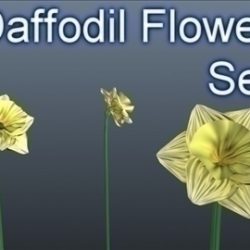 daffodil set 001 3d model 3ds max obj 102811