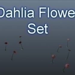 dahlia flower set 001 3d model 3ds max obj 102691