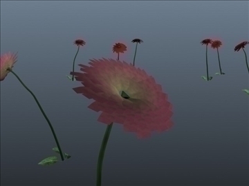dahlia flower set 001 3d model 3ds max obj 102692