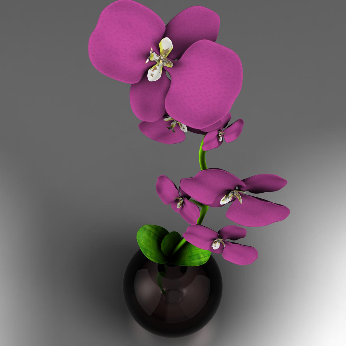 Flower base 3D Model Buy Flower base 3D Model FlatPyramid