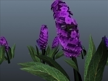 hyacinth flower set 001 3d model 3ds max obj 102801