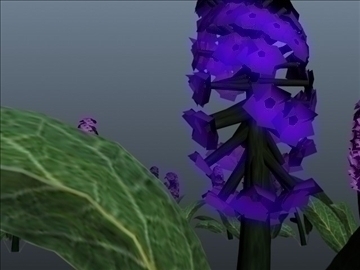 hyacinth flower set 001 3d model 3ds max obj 102802