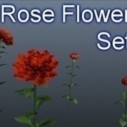 rose flower set 001 3d model 3ds max obj 102845