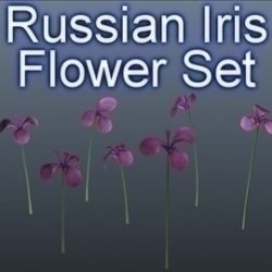 russian iris set 001 3d model 3ds max obj 102834