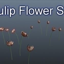 tulip flower set 001 3d model 3ds max obj 102924