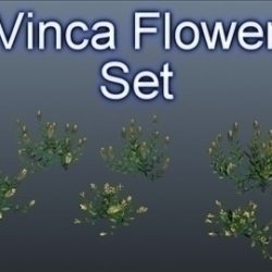 vinca flower set 001 3d model 3ds max obj 102997