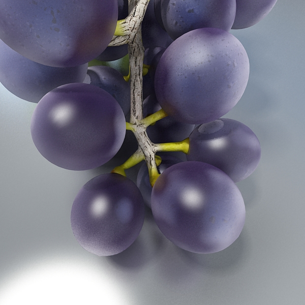 black grapes high detailed 3d model 3ds max fbx obj 124266