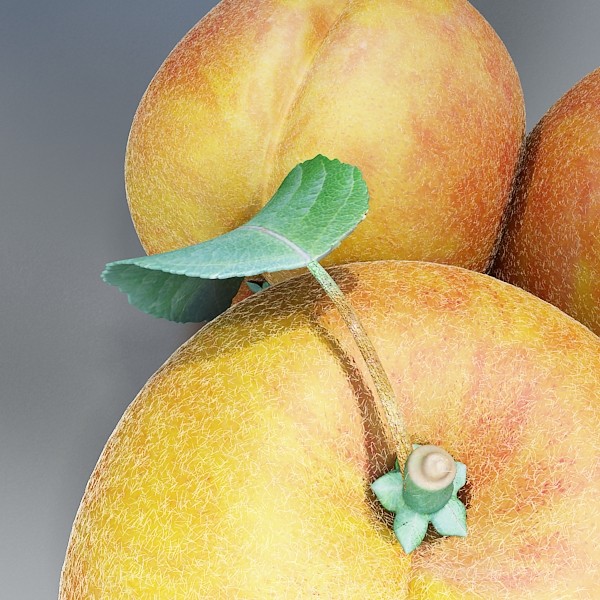 fruits collection high res textures 17 3d model 3ds max fbx obj 133323