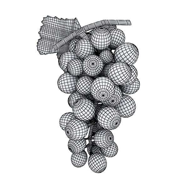 grapes collection high detailed 3d model 3ds max fbx obj 134058