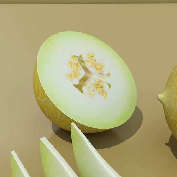 melon high res textures 3d model 3ds max fbx obj 133126