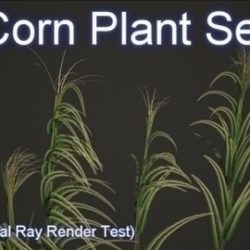 corn plant set 001 3d model 3ds max obj 103187