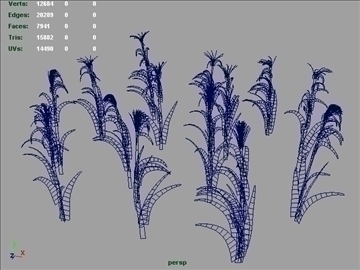 corn plant set 001 3d model 3ds max obj 103193