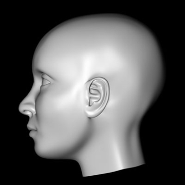 female head.zip 3d model 3ds dxf fbx c4d obj 85017