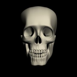 human skull 3d model max 113874