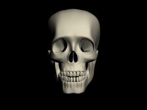 Human Skull 3d Model Flatpyramid