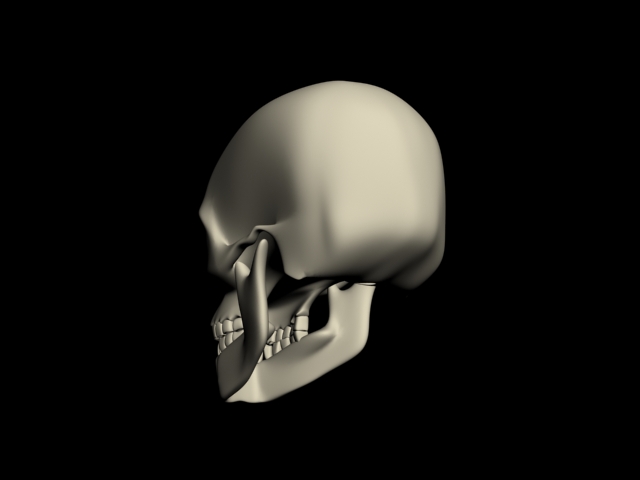 human skull 3d model max 113876