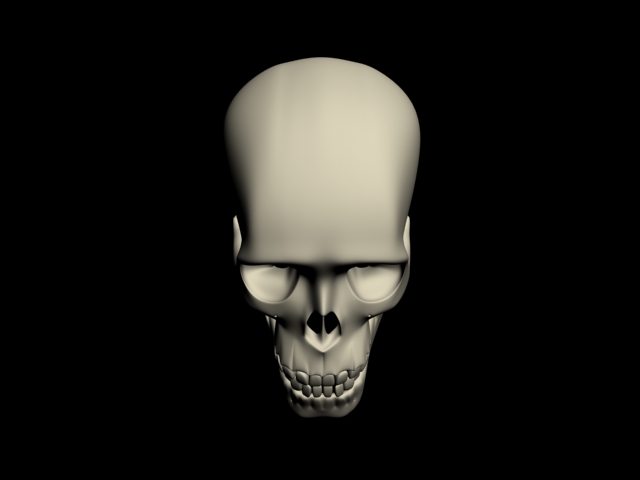 human skull 3d model max 113877