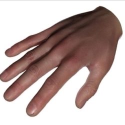 realistic human hand sss scatter shader 3d model max 86798