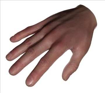 realistic human hand sss scatter shader 3d model max 86798