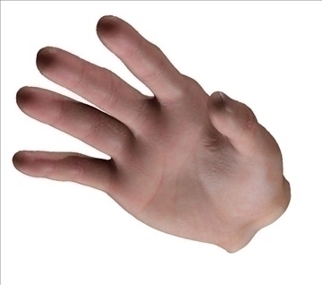 realistic human hand sss scatter shader 3d model max 86799