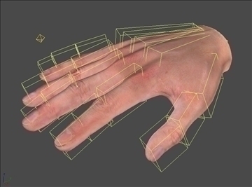 realistic human hand sss scatter shader 3d model max 86801