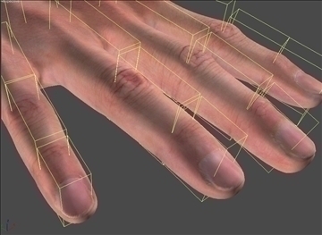 realistic human hand sss scatter shader 3d model max 86802