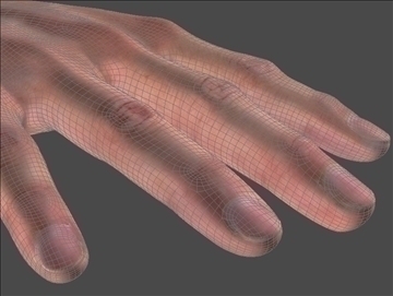 realistic human hand sss scatter shader 3d model max 86804