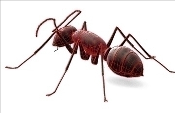 ant bug 3d model blend obj 112074